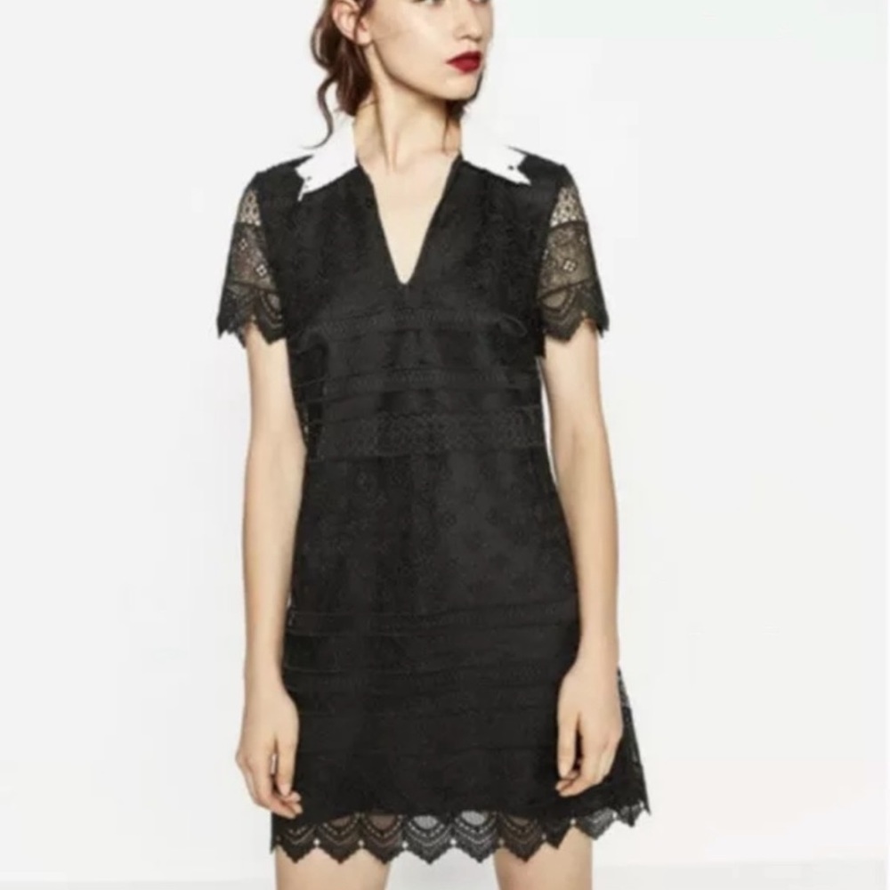 NWT Zara Black Lace Collared Shift A Line Dress XS